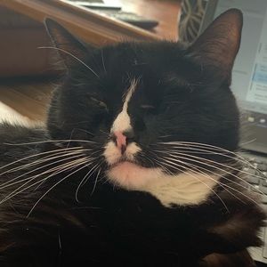 Meet your Posher, Kim